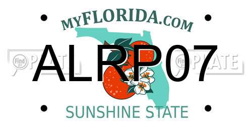 ALRP07 Florida License Plate