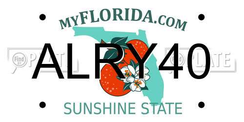 ALRY40 Florida License Plate