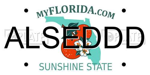 ALSEDDD Florida License Plate