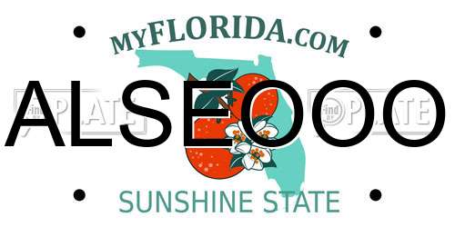 ALSEOOO Florida License Plate