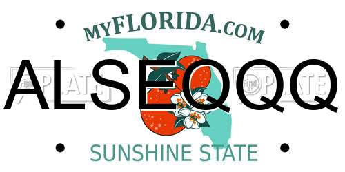 ALSEQQQ Florida License Plate