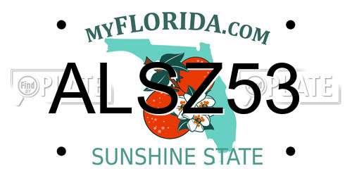 ALSZ53 Florida License Plate