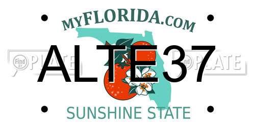 ALTE37 Florida License Plate