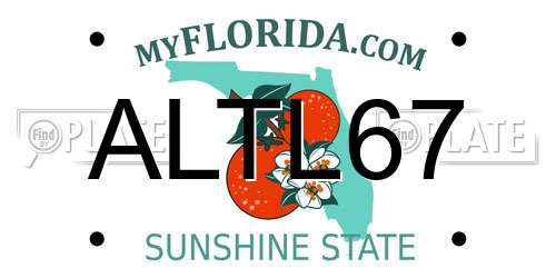 ALTL67 Florida License Plate