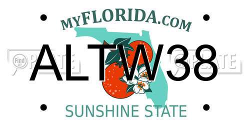 ALTW38 Florida License Plate