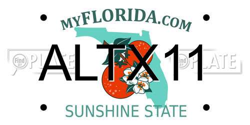 ALTX11 Florida License Plate