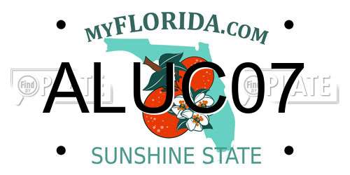 ALUC07 Florida License Plate
