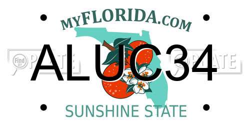 ALUC34 Florida License Plate