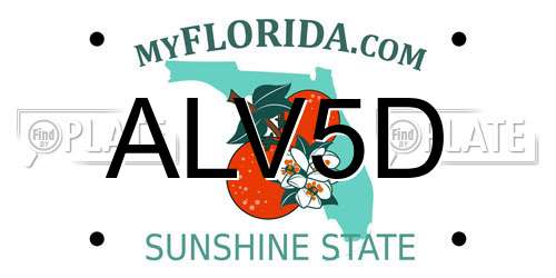 ALV5D Florida License Plate