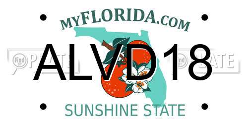 ALVD18 Florida License Plate