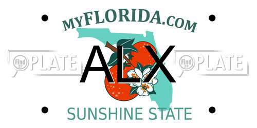 ALX Florida License Plate