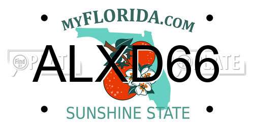 ALXD66 Florida License Plate