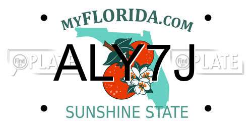ALY7J Florida License Plate