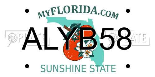 ALYB58 Florida License Plate