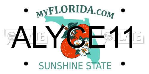 ALYCE11 Florida License Plate