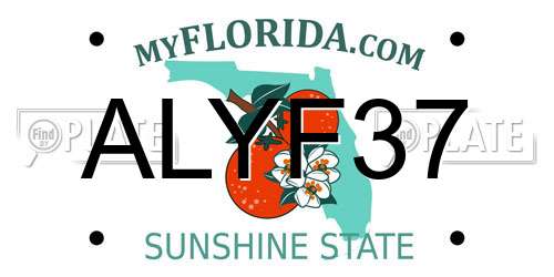 ALYF37 Florida License Plate