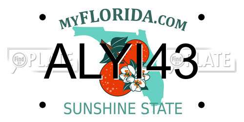 ALYI43 Florida License Plate