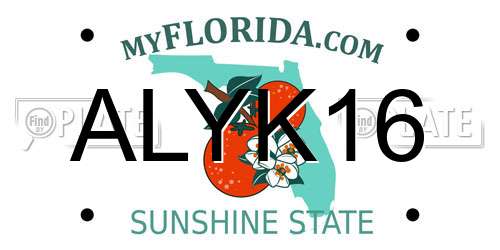 ALYK16 Florida License Plate