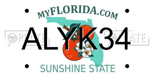 ALYK34 Florida License Plate