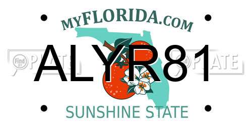 ALYR81 Florida License Plate