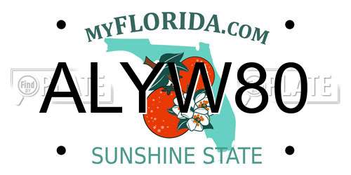 ALYW80 Florida License Plate