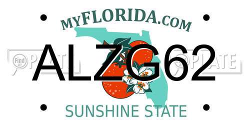 ALZG62 Florida License Plate