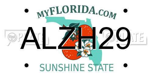 ALZH29 Florida License Plate