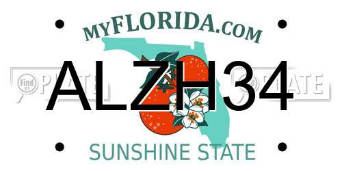 ALZH34 Florida License Plate