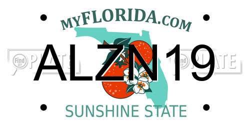 ALZN19 Florida License Plate