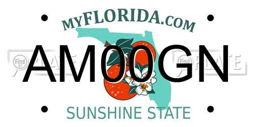 AM00GN Florida License Plate