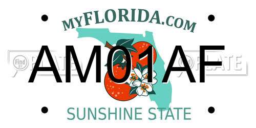AM01AF Florida License Plate