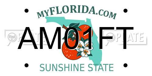 AM01FT Florida License Plate