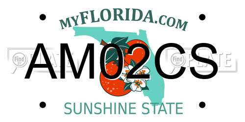 AM02CS Florida License Plate
