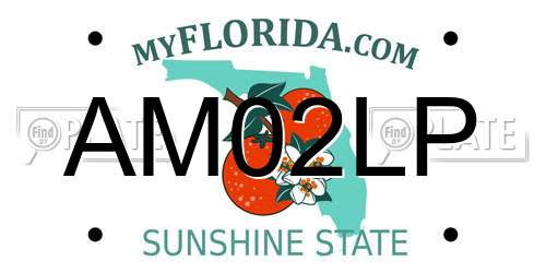 AM02LP Florida License Plate