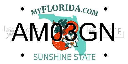 AM03GN Florida License Plate