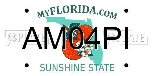 AM04PI Florida License Plate