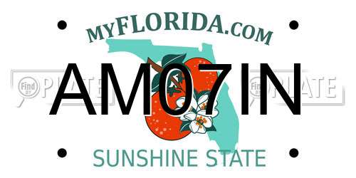 AM07IN Florida License Plate