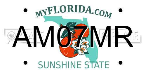AM07MR Florida License Plate