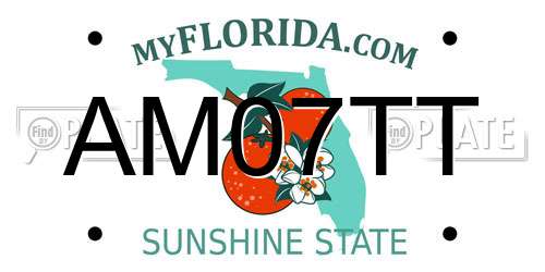 AM07TT Florida License Plate