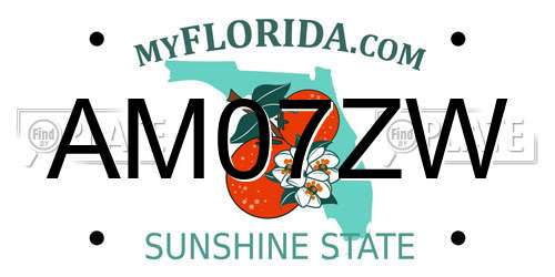 AM07ZW Florida License Plate
