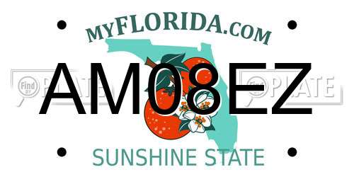 AM08EZ Florida License Plate