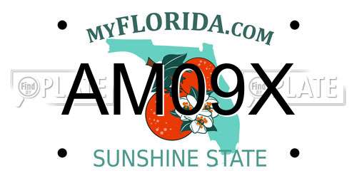 AM09X Florida License Plate