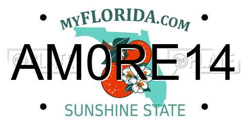 AM0RE14 Florida License Plate