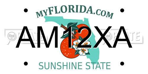 AM12XA Florida License Plate