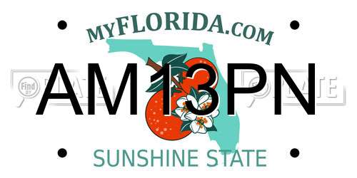 AM13PN Florida License Plate