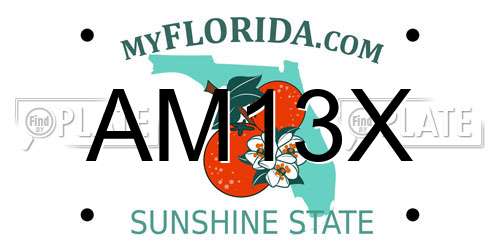 AM13X Florida License Plate