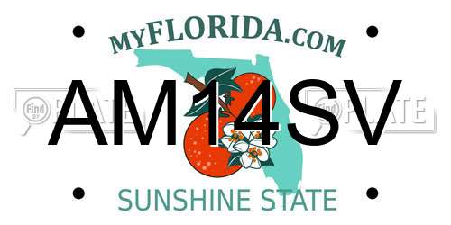 AM14SV Florida License Plate