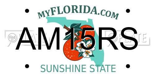 AM15RS Florida License Plate