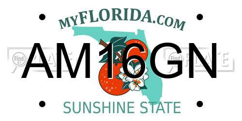 AM16GN Florida License Plate