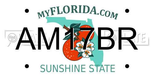 AM17BR Florida License Plate